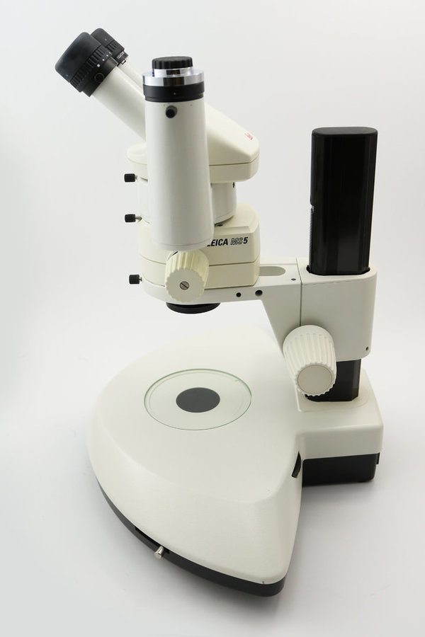 Leica Stereomikroskop MS5 mit großer Durchlichtbasis und KL200, Fotoausgang inkl. c-mount