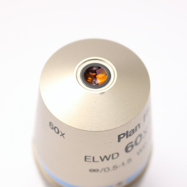 Nikon Objektiv Plan Fluor ELWD 60x/0.70 DIC M ∞/0.5-1.5 WD 2.1-1.5